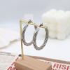 Stylish And Simple Titanium Steel Twist Earrings Women'S Niche Light Luxury C Titanium Steel Earrings Do Not Fade