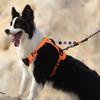 Dog Reflective Vest Harness, Anti-Pull Pet Chest Strap, Safety for Walking & Outdoor, Adjustable & Comfortable
