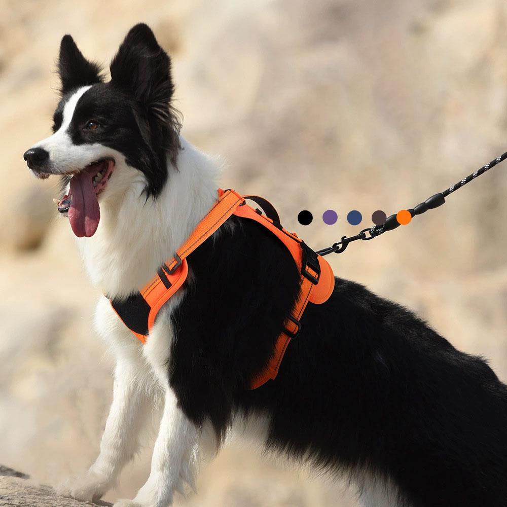 Dog Reflective Vest Harness, Anti-Pull Pet Chest Strap, Safety for Walking & Outdoor, Adjustable & Comfortable