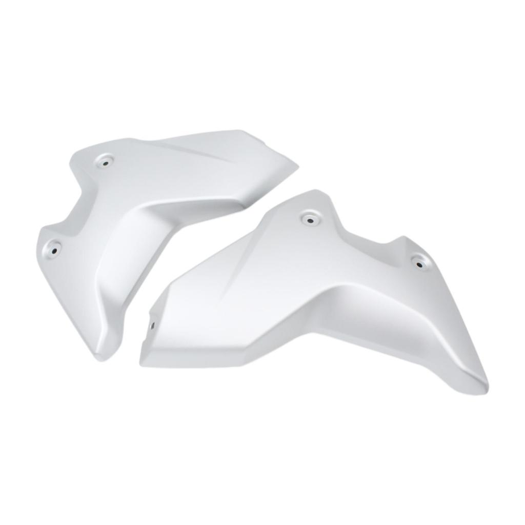 Side Frame Fairing Cowl Guard Radiator Cover Decoration Directly Replace for BMW R1250GS 2018-2025 Motorbike Accessories