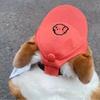 Adjustable Pet Baseball Cap Cotton Small Dogs and Cats Outdoor Sun Hat Cute with Ear Holes Embroidery Cap for Corgi Teddy Puppy