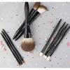 AME - Set of 10: Makeup Brush / Case / Set