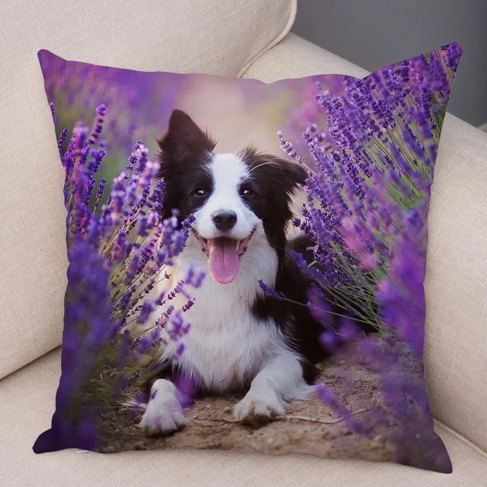 Cute Scottish Border Collie Pillowcase Dog Print Decor Pet Animal Cushion Cover Sofa