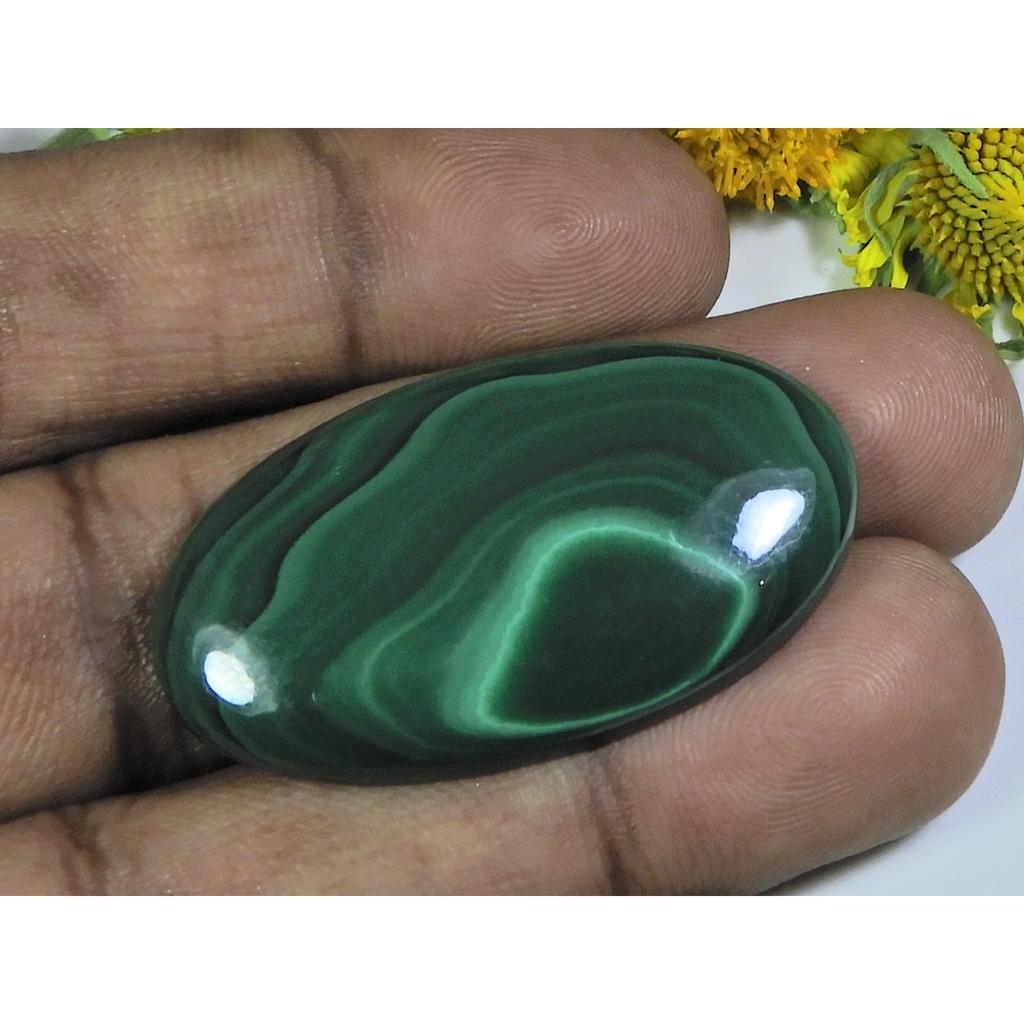 AA++ 60Cts. Natural Green Malachite Oval Cabochon Loose Gemstone 22X40X05MM D-36