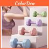 Fitnessapparatuur – Dumbbells
