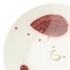 Marui Seito Shigaraki Ware Hechimon Cup & Saucer, 210ml Capacity, Akaha Red, MR-3-4400