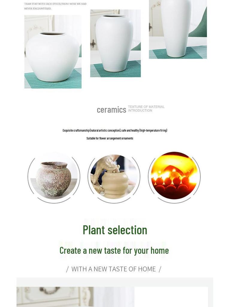 Modern Minimalist Ceramic Vase for Flower Arrangement - Decorative Pottery Jar for Living Room and Entry Table