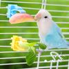 2/4 Pcs Pet Bird Food Holder Parrot Fruits Vegetables Clip Bracket Cuttlefish Bone Feeder Device Clamp Bird Cage Accessories