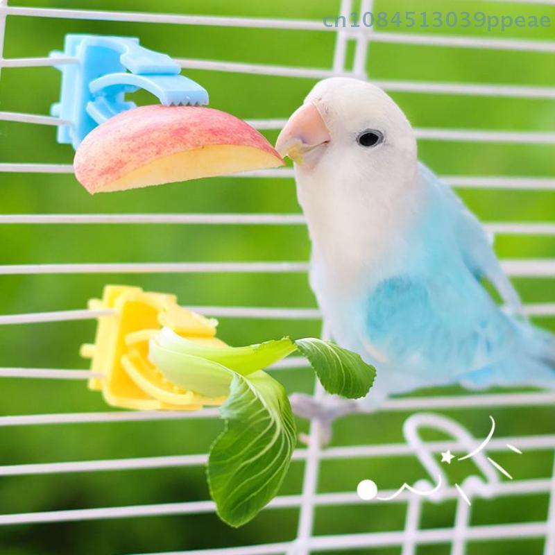 2/4 Pcs Pet Bird Food Holder Parrot Fruits Vegetables Clip Bracket Cuttlefish Bone Feeder Device Clamp Bird Cage Accessories