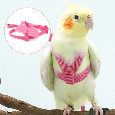 Postroj s vodítkem pro papouška s roztomilým designem křídel, protihryzací, dlouhé tréninkové lano, lehká nastavitelná vesta pro andulku, korelu, venkovní