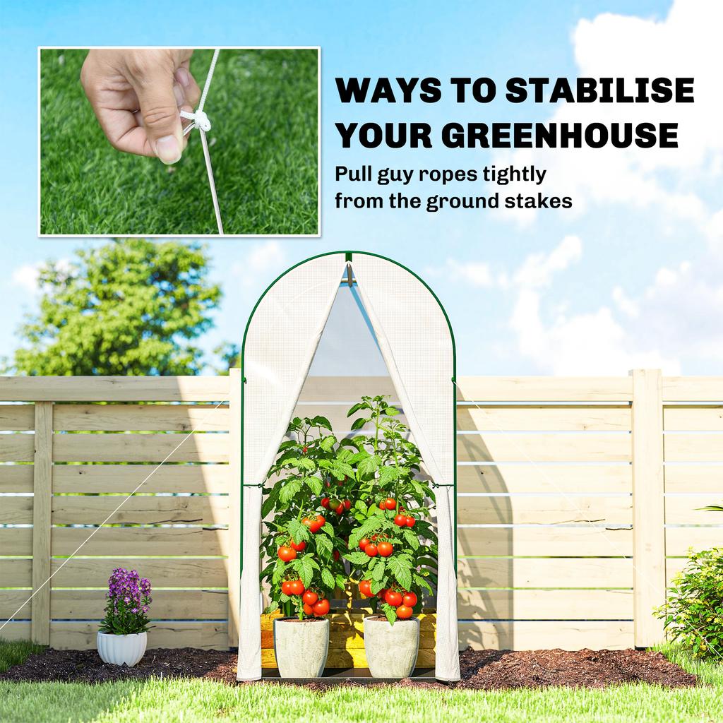 Mini Greenhouse, Portable Green House with Roll-Up Door, PE Base, Small Greenhouse, 100 x 100 x 195 cm, White