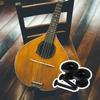 Bstinay 1 Pair Strap Pin Tail Pin Guitar Mandolin Metal Black