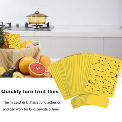 24Pcs Mosquito Sticky Card Flying Insect Trap Refill Kit Indoor