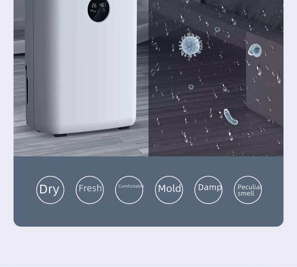 Chigo Household Bedroom Dehumidifier with Air Drying and Indoor Negative Ion Function