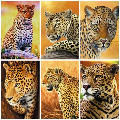 Vollständige quadratische Diamant-Kunst-Sets Tier Diamantstickerei Kreuzstich Leopard 5D DIY Mosaik Verkauf Wandkunst