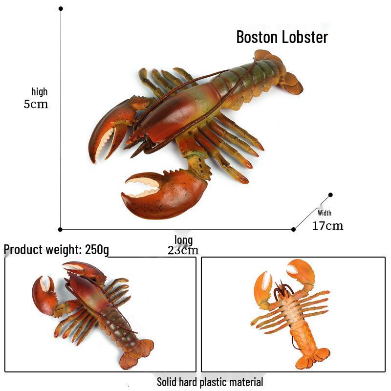 Children's Aquarium Shrimp and Lobster Model Set