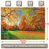 2D Bright Autumn Backdrop, Fall Forest Maple Trees Background for Outdoor Themed Events