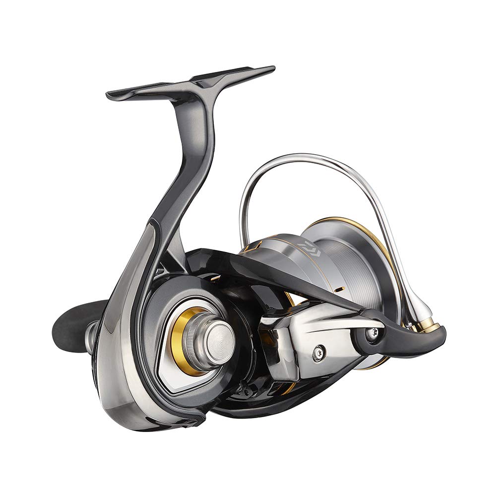 Daiwa 21 Rubias Airity LT4000-CXH