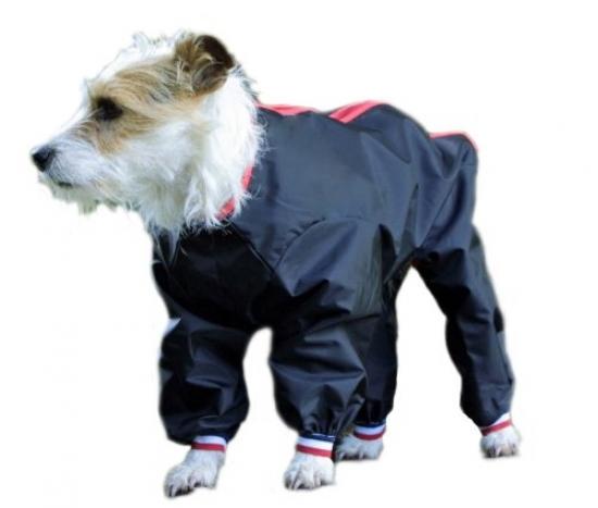cosipet dog coat