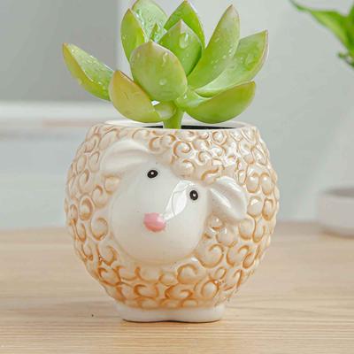 Pot Hibou Céramique Pot de Fleurs Cactus Pot de Plantes Bonsaï Pots Ensemble