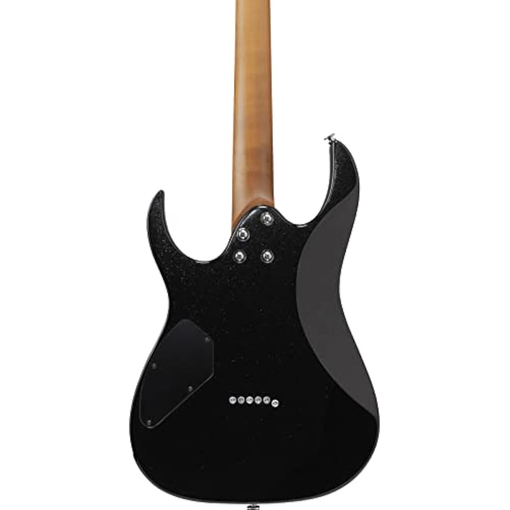 Ibanez (Ibanez) GIO series electric guitar Black Night GRG121SP-BKN