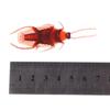 Special Model Funny Toys  Halloween Fake Roaches Joke Cockroach Shape Toy Lifelike Blackbeetle