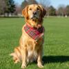Soft Plaid Pet Scarf Bibs Breathable Dog Triangle Towel Stylish Dog Bandanas  Pet Costume