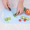 Household & Dormitory Plastic Cutting Board for Fruits and Baby Food