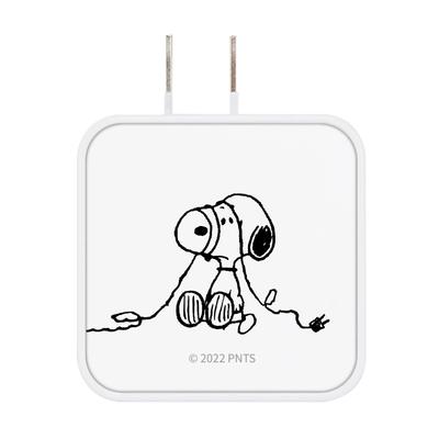 Gourmandise Peanuts AC Adapter Snoopy USB/USBType-C SNG-718A