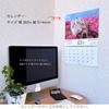 Active Corporation 2027 Wall Calendar Because I'm a Cat (Datte Neko Damono) 27ACL-66 Cute Cat Photos and Senryu Japanese Sunday Start