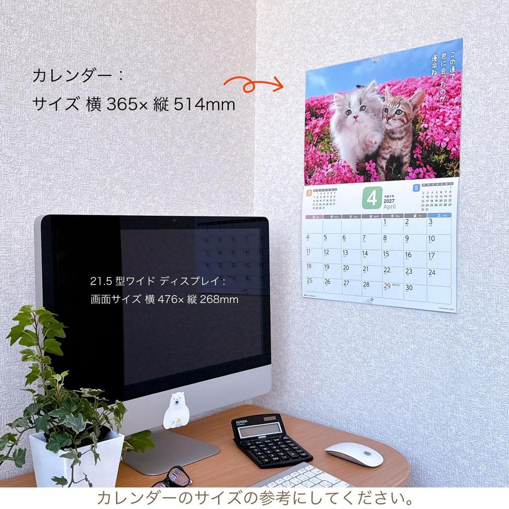 Active Corporation 2027 Wall Calendar Because I'm a Cat (Datte Neko Damono) 27ACL-66 Cute Cat Photos and Senryu Japanese Sunday Start
