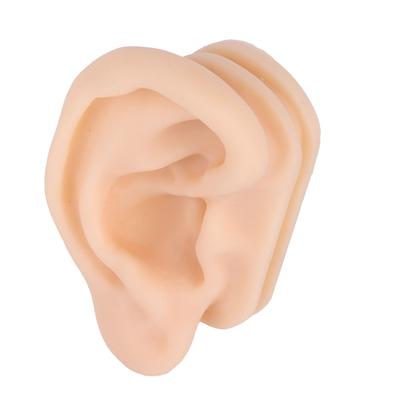 Soft Silicone Ear Model Simulation Ear Acupuncture Practice Model for Hospital Display