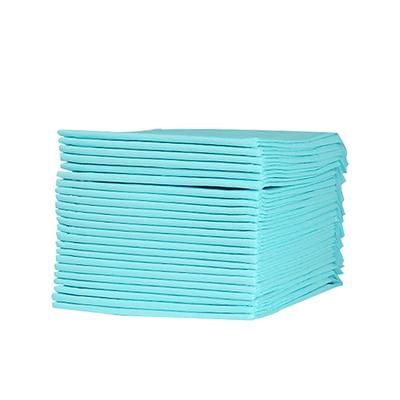 10Pcs Super Absorbent Pet Training Pads Puppy Pee Pads for Indoor Dogs Elderly Canine Cage Car Hotel Clean Dry Surface Odor