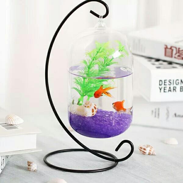 Kreatives Mikro-Landschafts-Kampffisch-Aquarium - Modisches Glas-Fischglas-Dekorationsobjekt für die Heimdekoration, Kleine Geschenke