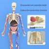 Children's DIY Human Skeleton Model Educational Toy Set for Early Science Learning