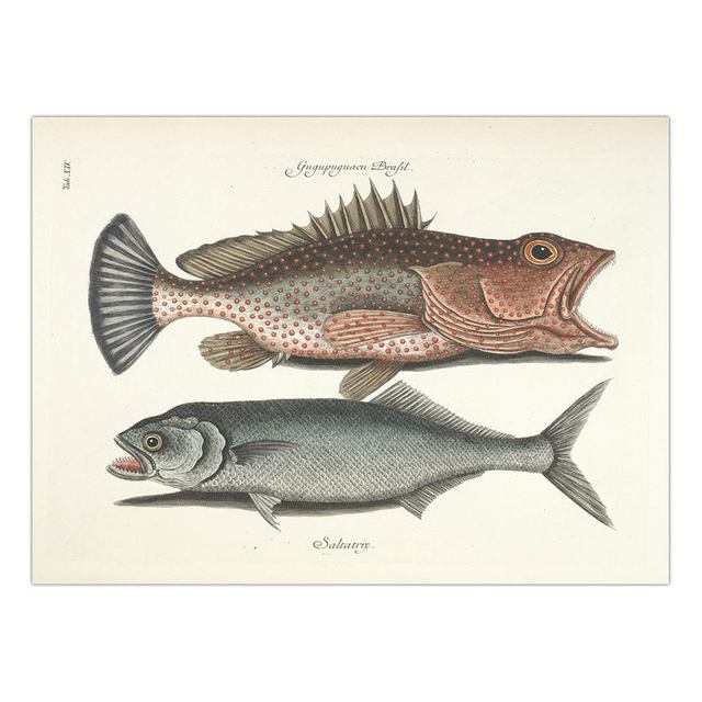 Decorative Painting Retro Fish Restaurant Hotel Paintings Animal Print Wall Pictures for Living Room Flatfish Wall Art Canvas
