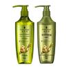 Schwarzkopf Ginger Essence Oil Control Shampoo & Conditioner Set