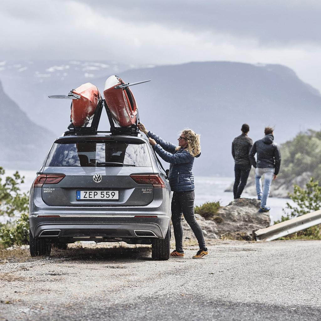 Thule Hal Aero Port TH849