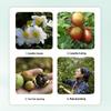 Ya Ya Weishi Camellia Oil Gentle Baby Hair Conditioner