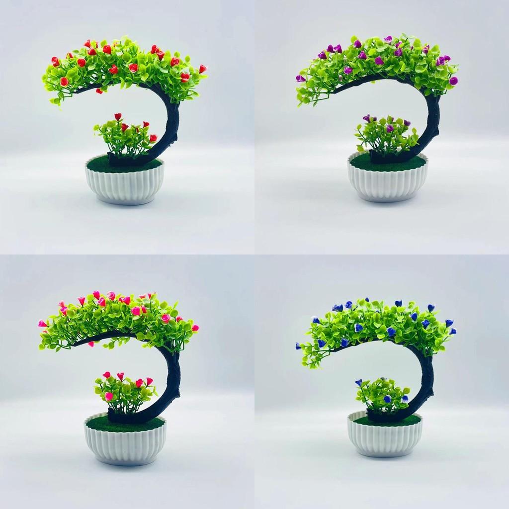 Plastic Crescent Shape Rose Bonsai Potted Plant For Indoor Garden And Gift Ideas
