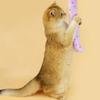 Cat Chew Toy Plush Crackling Paper Interactive Bite-resistant Kitten Toy Companionship Teeth Cleaning Cat Teaser Stick Toy