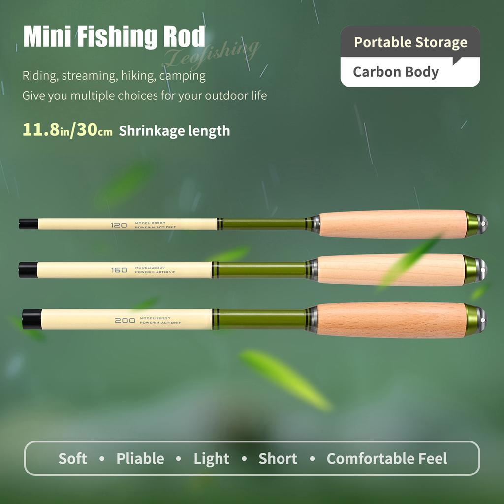 Extendable Fishing Pole Camping Mini Fishing Rod Telescopic Fishing Pole with Solid Wood Handle 2m