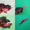 20 Piece Set Octopus Bait Homemade Octopus Egg Soft Lure