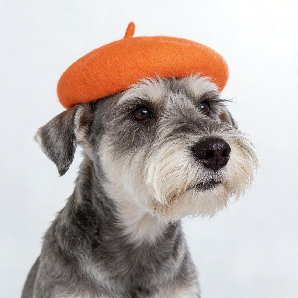 Breathable Pet Headwear Adjustable Pet Painter Hat Cat Sunscreen Hat  Photos Sessions