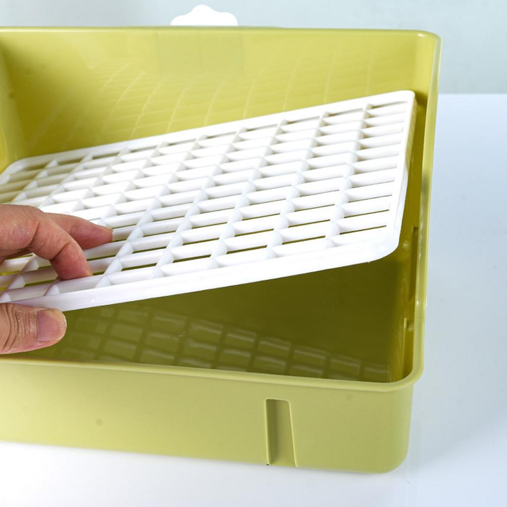 Parrot Shower Basin With Automatic Circulation, Bago Bird Shower , Sun, Xuan Bird, Large Shower Basin