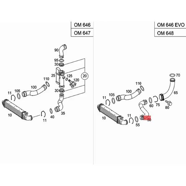 Radiator & Intercooler Hose for Mercedes W211