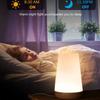 RGB Dotyková noční lampička 13 barev USB dobíjecí noční světlo s dálkovým ovládáním, časovačem a 3 režimy pro ložnici, domácí dekoraci