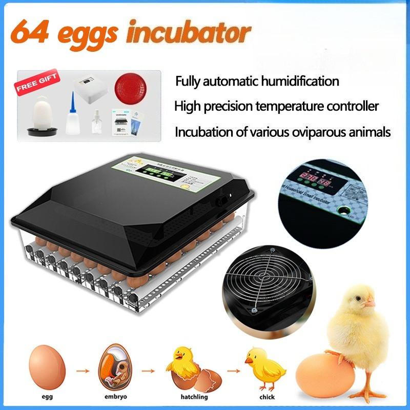 36/56/64PCS Eggs Automatic Incubator Fully Automatic Farm Bird Quail Brooder High precision temperature Control Poultry Hatcher