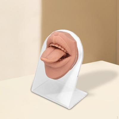 3D Silicone Tongue Mouth Model Soft Piercing Practice Body Parts Flexible for