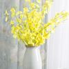 Modern Minimalist Ceramic Vase for Creative Floral Displays